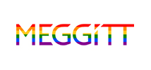 3.meggitt